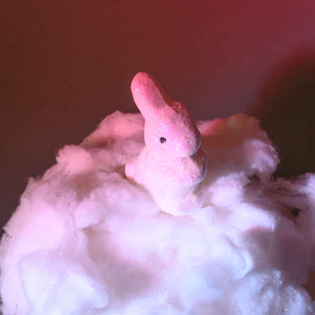 very nice white small rabbit among the clouds