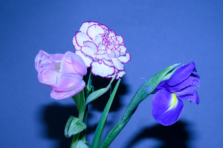 beautiful spring flower bouquet close upの写真素材