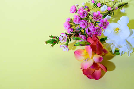 spring flower beautiful colored in a bouquet close up
