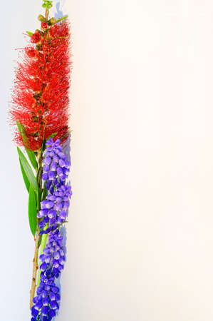 very nice colorful flower combination close up