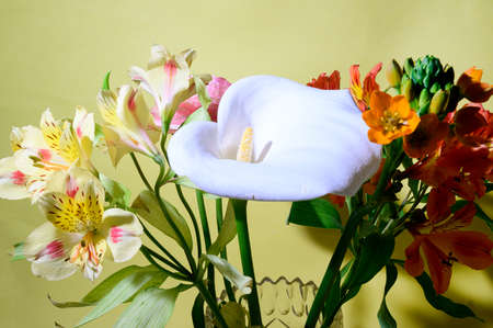 very nice colorful spring flower cala,alstroemeria,freesia flower in the bouquetの写真素材