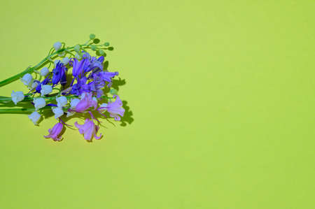 very nice colorful small spring garden flower close upの写真素材