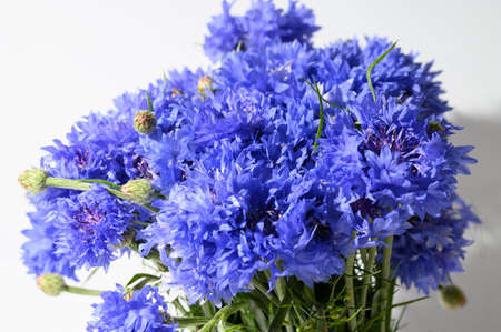 blue flower in the bouquet close up