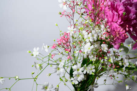 garden flower close up in the bouquet colorful flowerの写真素材