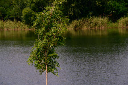 beautiful nature on vacation in the sunshine