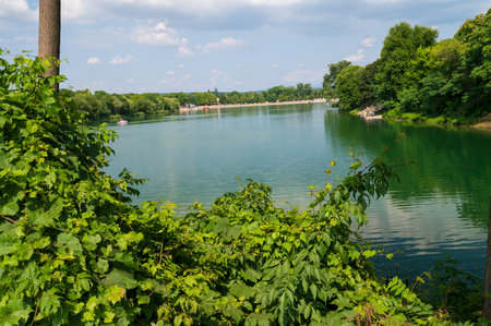 vacation next to the forest and lake in nice sunny weatherの写真素材
