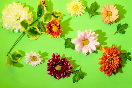 flower patterns on the colorful background close upの写真素材