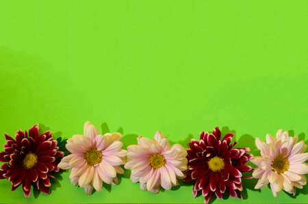 close up of flower patterns on a colored backgroundの写真素材