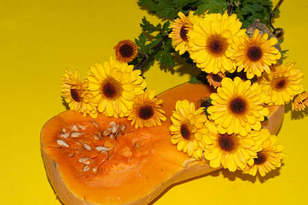 pumpkin and autumn flower composition close upの写真素材