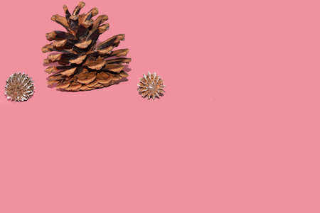 pine cone and many little ornaments colorful background