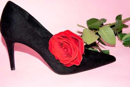 High heel fashion concept, black shoes with roseの写真素材