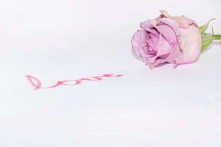 colorful decoration for valentine s day close upの写真素材
