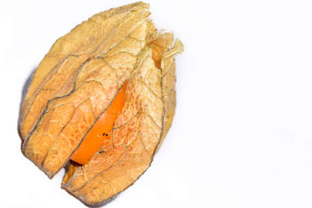 macro photo from citrus fruit seed close up viewの写真素材