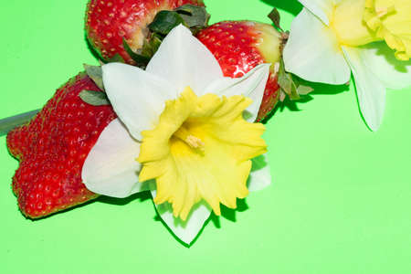 strawberry and colorful spring flower combination close upの写真素材