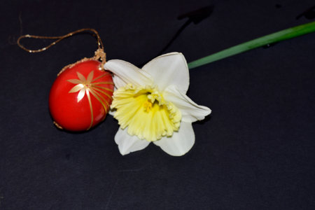 egg and flower very nice decoration for easter close upの写真素材