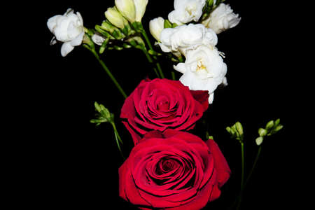 macro photo of rose and freesia flower close upの写真素材