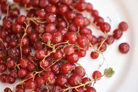 macro photo of raspberry,redcurrant very healthy fruit close up