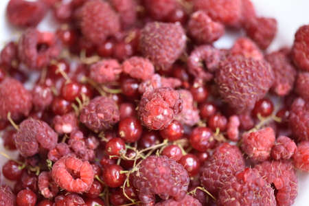 red fruit very pretty little healthy fruit close up