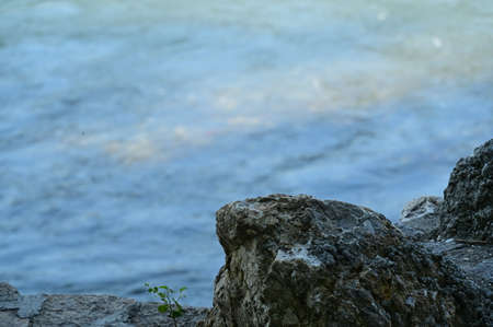 river very nice limpid water close up in the nature