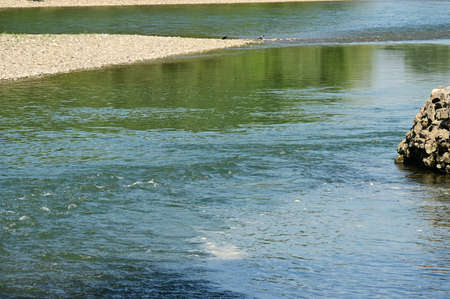 river very nice limpid water close up in the nature