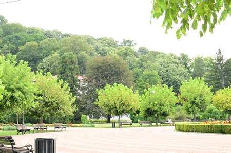 very pretty clear park on a summer day close up viewの写真素材