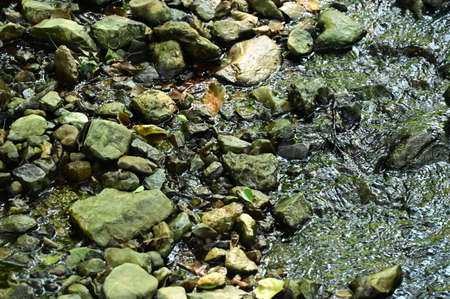 spring water from the mountains in the forest