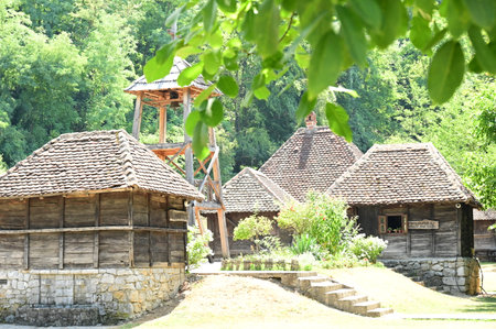 very pretty little house in the forestのeditorial素材