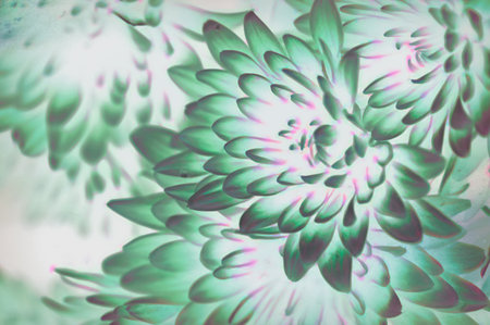 very pretty colored flower in my garden close upの写真素材