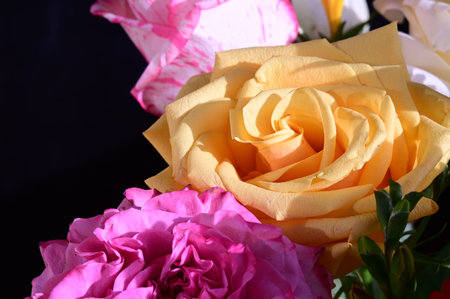 Bouquet of roses in pink and yellow colors on black backgroundの写真素材
