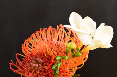 very nice colorful flowerの写真素材