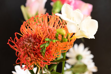 very nice colorful flower close upの写真素材