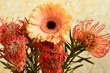 very nice colorful flower decoration close upの写真素材