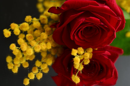 rose and mimosa colored flower with close upの写真素材