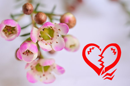 colorful flowers for valentines dayの写真素材