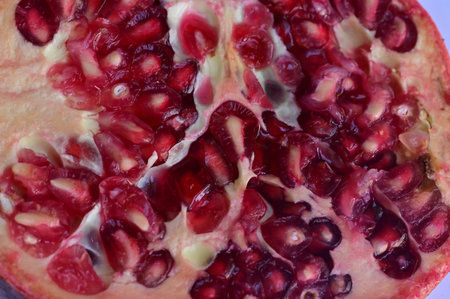 macro photo of pomegranate fruitの写真素材