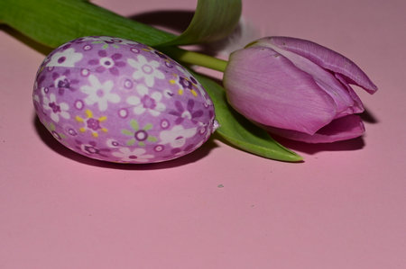 colorful egg and tulip decoration with close up