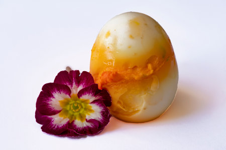 very nice colored flower and egg with close up