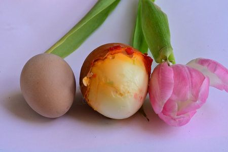 Easter eggs and tulips on a white background, close-upの写真素材