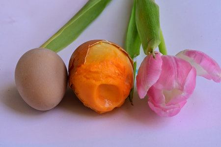 Easter eggs and tulips on a white background, close-upの写真素材