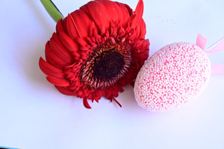 Easter eggs and red gerbera on a white background.の写真素材