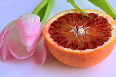 Half of an orange and a pink tulip on a white backgroundの写真素材