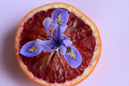 <p>iris and fruit color ornament with close up</p>の写真素材