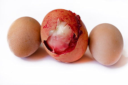 broken egg with close upの写真素材