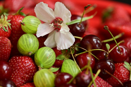 Strawberries and cherries in a red plate with a flowerの写真素材