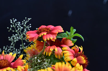 bouquet of bright flowers on a dark background close-upの写真素材