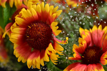 Close up of a bouquet of red and yellow flowers with green leavesの写真素材