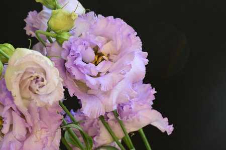 bouquet of eustoma flowers on black background close upの写真素材