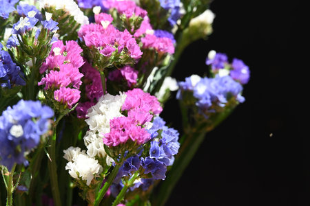 Bouquet of purple and blue statice flowers on black background
