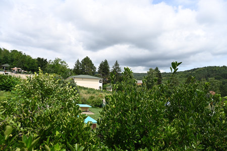 View from the top of the mountain to the village and the forestの写真素材