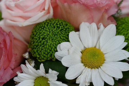 Bouquet of pink roses and daisies close up.の写真素材